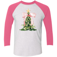 Tri-Blend 3/4 Sleeve Raglan T-Shirt